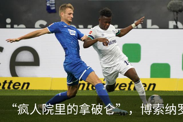 “疯人院里的拿破仑”，博索纳罗遭到各国网民群嘲