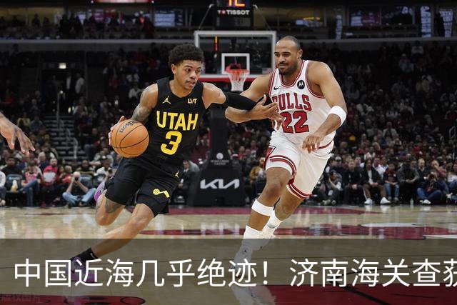 中国近海几乎绝迹！济南海关查获17只手镯，竟是由极危"国宝"制成