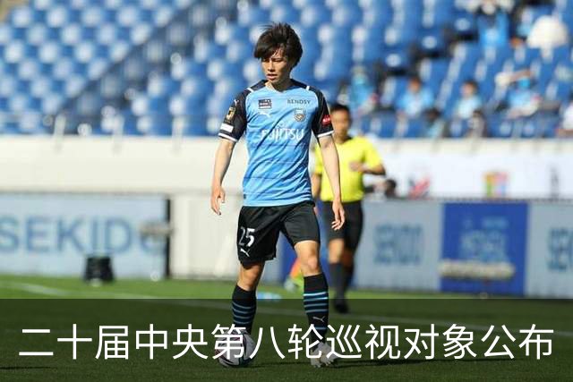二十届中央第八轮巡视对象公布