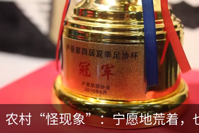 农村“怪现象”：宁愿地荒着，也不种粮食，把专家气够呛，咋回事