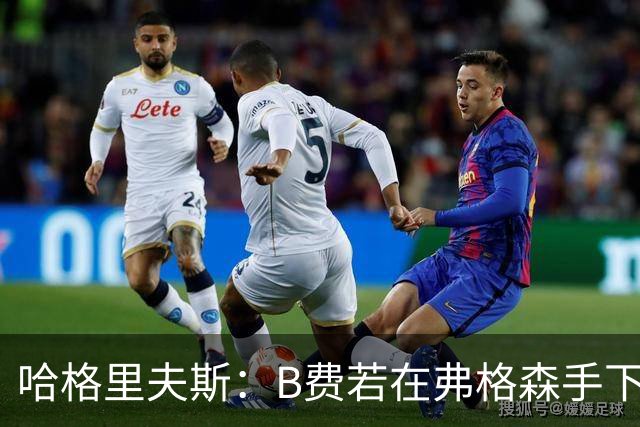 哈格里夫斯：B费若在弗格森手下说这话，就没机会再上场了