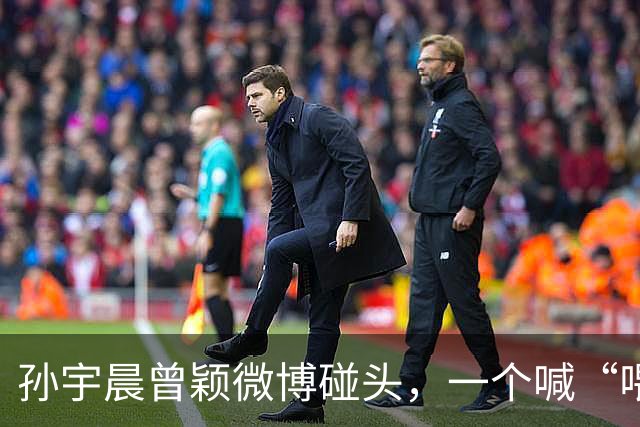 孙宇晨曾颖微博碰头，一个喊“喂”，一个接“楚雨荨”