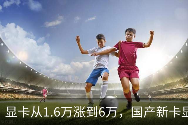 显卡从1.6万涨到6万，国产新卡显存给到64G