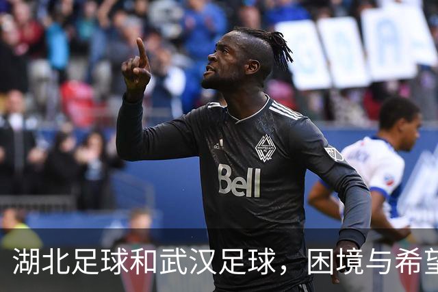 湖北足球&武汉足球，困境与希望并存