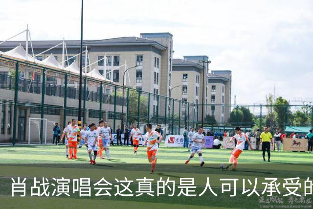 肖战演唱会这真的是人可以承受的吗？散场后还设心理疏导岗