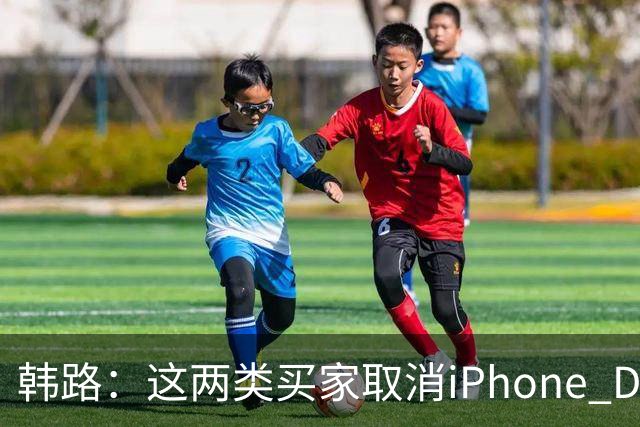 韩路：这两类买家取消iPhone Duo订单“很正常”