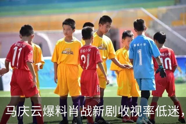 马庆云爆料肖战新剧收视率低迷，认定肖战要负责