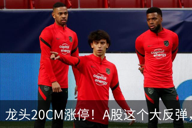 龙头20CM涨停！A股这个大反弹，太提气了！