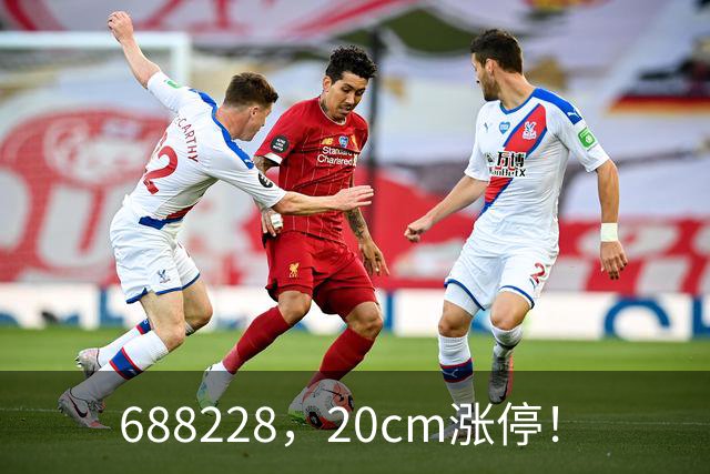 688228，20cm涨停！